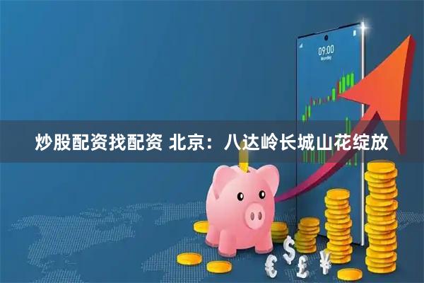 炒股配资找配资 北京：八达岭长城山花绽放